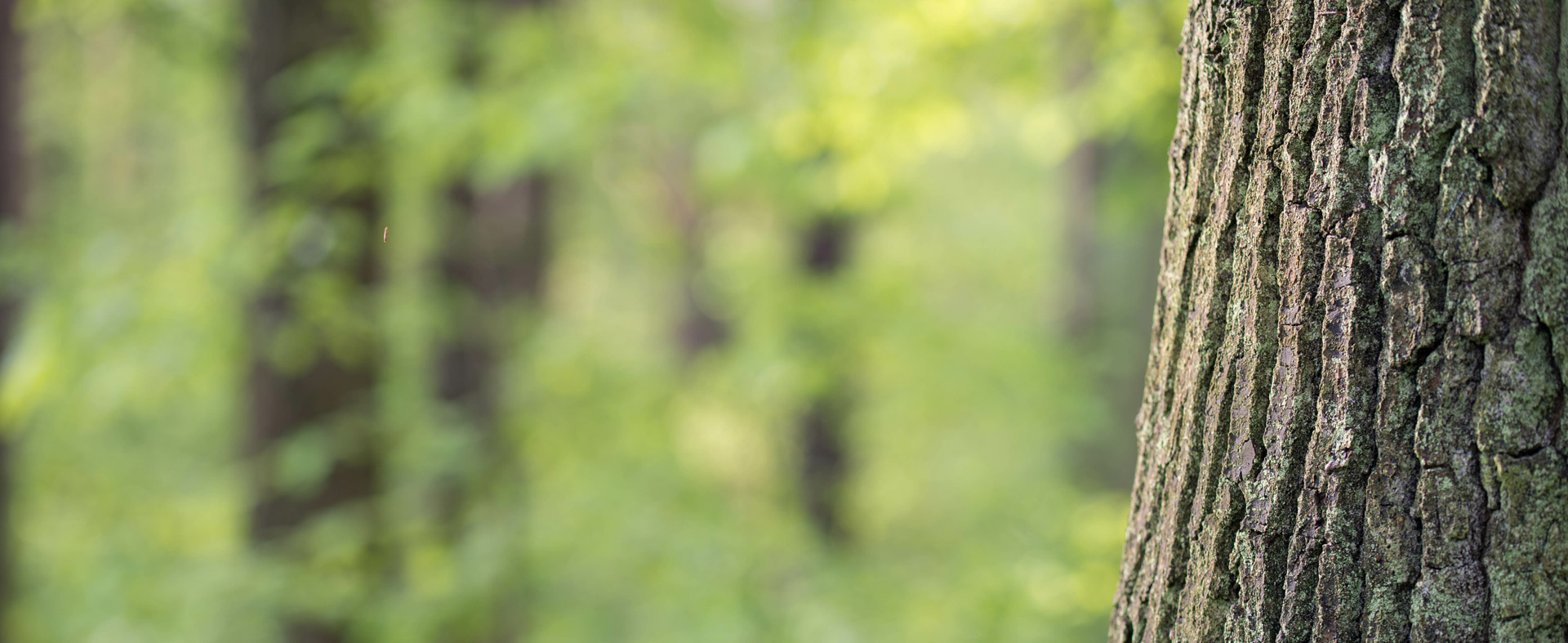 Environmental benefit-impact