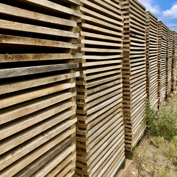 40A703D6-F561-45DA-B051-6C2A047A2124_1_201_a